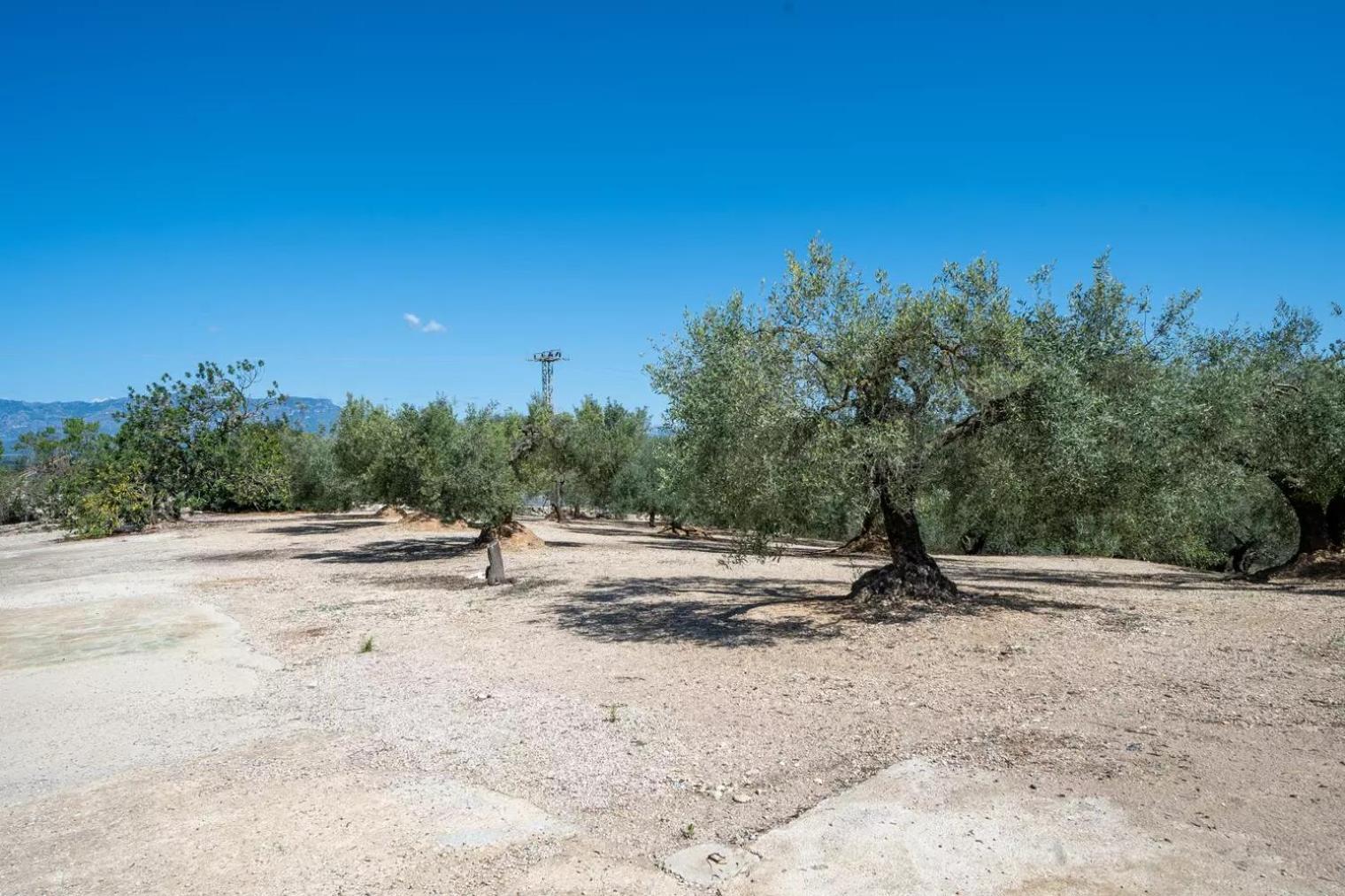 La Caseta Dels Iaios Masdenverge Eksteriør billede
